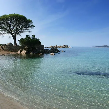 Les Terrasses De Scalegiu * פורטו-וישיו