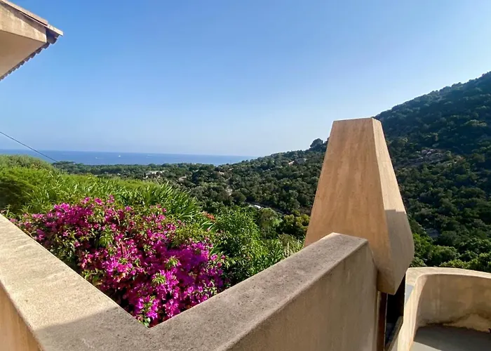 Vakantiehuis Les Terrasses De Scalegiu Porto-Vecchio (Corsica)