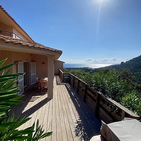 Les Terrasses De Scalegiu 维琪奥港