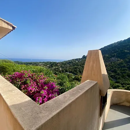 Dom wakacyjny Les Terrasses De Scalegiu Porto-Vecchio (Corsica)