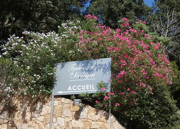 Holiday home Les Terrasses De Scalegiu *