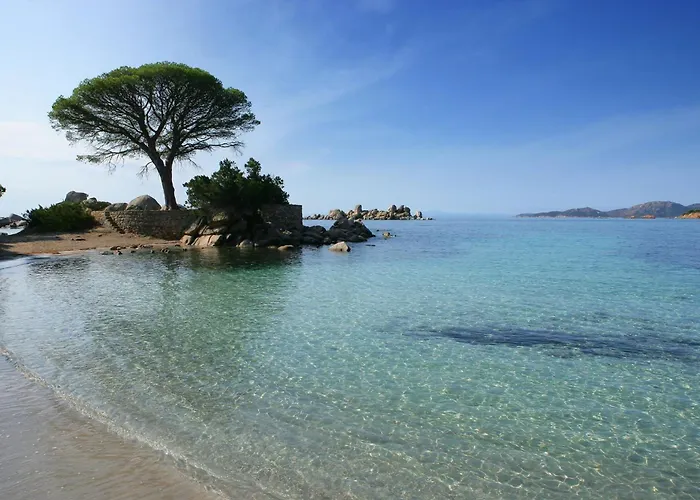 Les Terrasses De Scalegiu * 포르토베쉬오